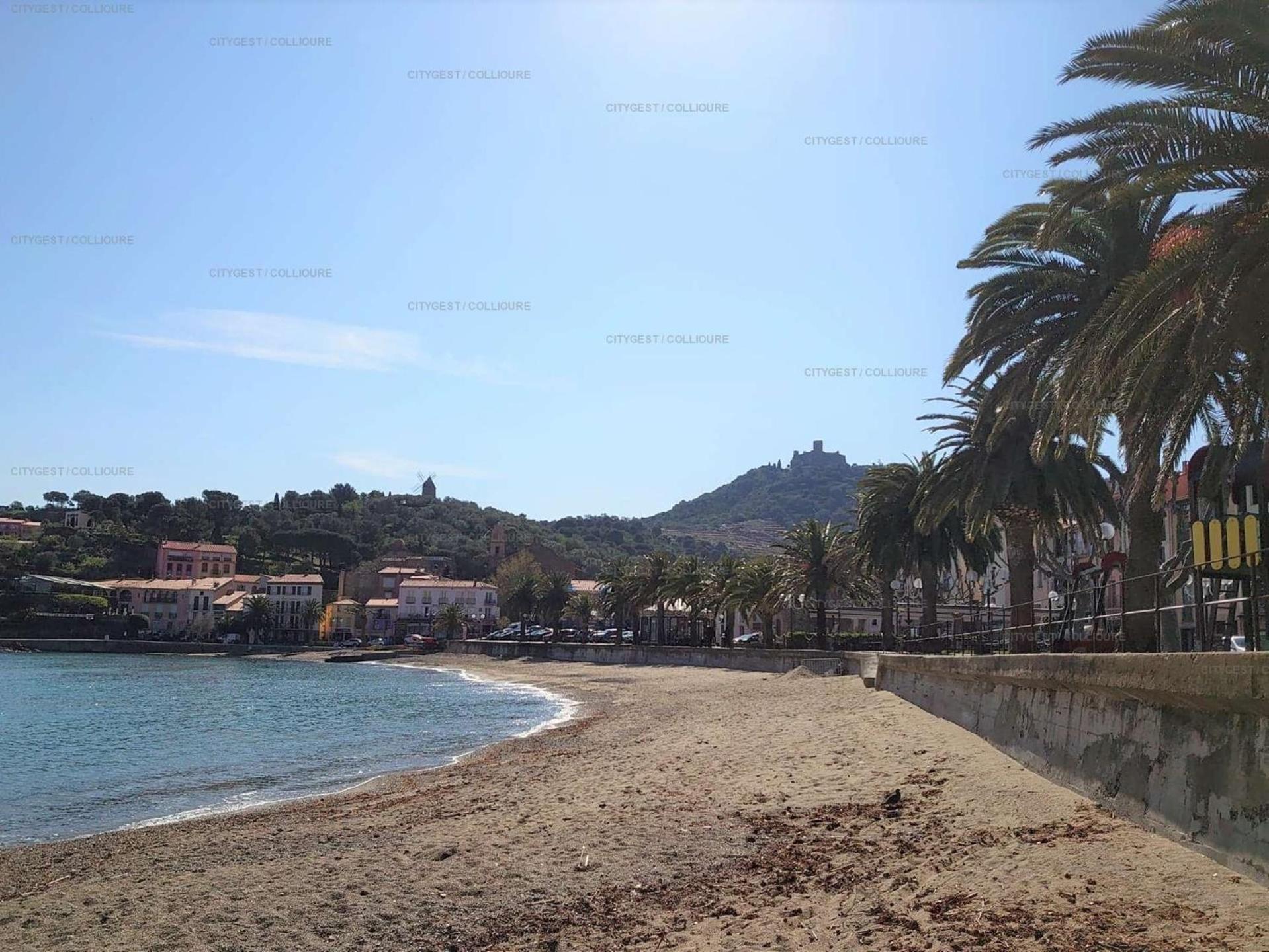 5Demo54 - Appartement Tres Proche Plage Et Toutes Commodites Collioure Exterior photo